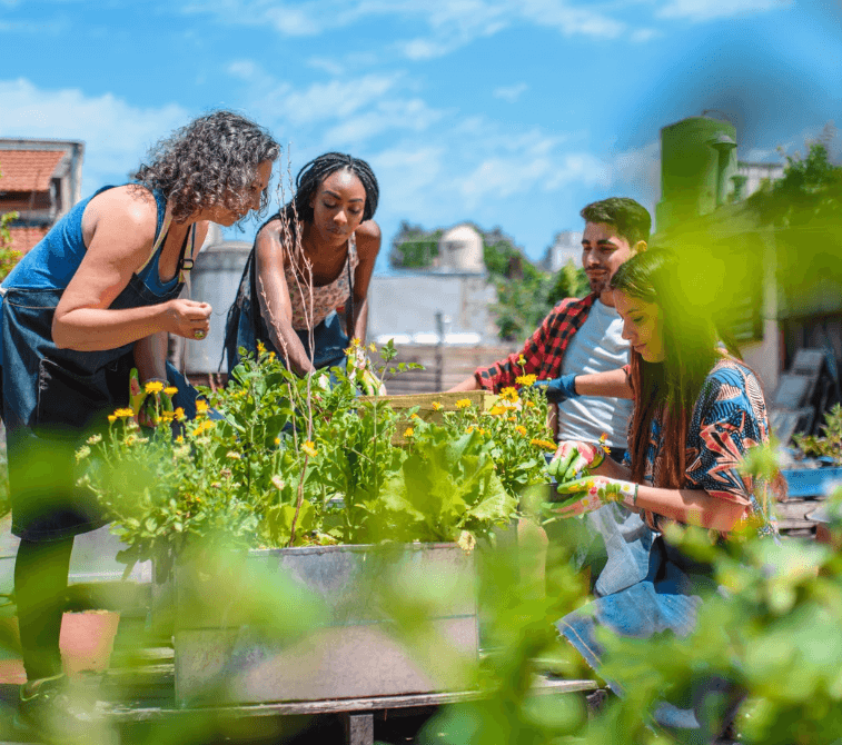 Homeownership & Building Involved Communities 